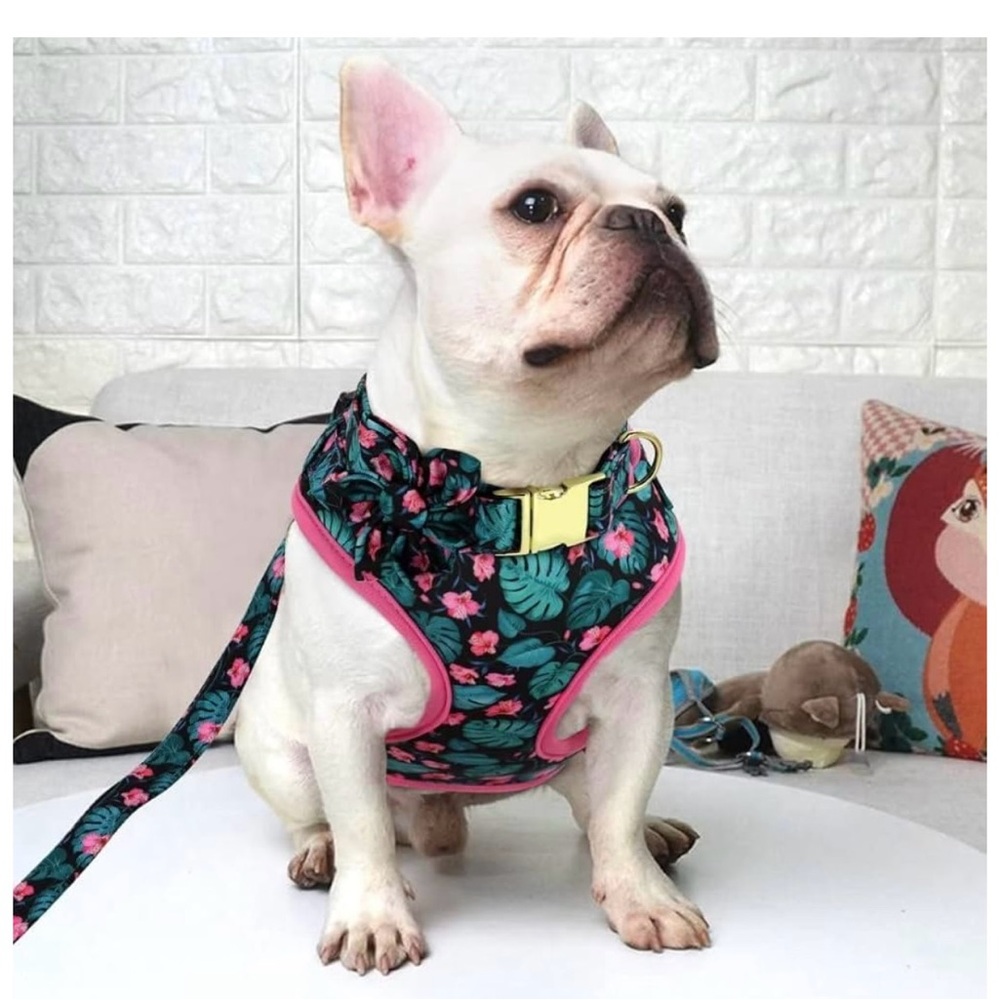 Pink and Green French Bulldog Clothing